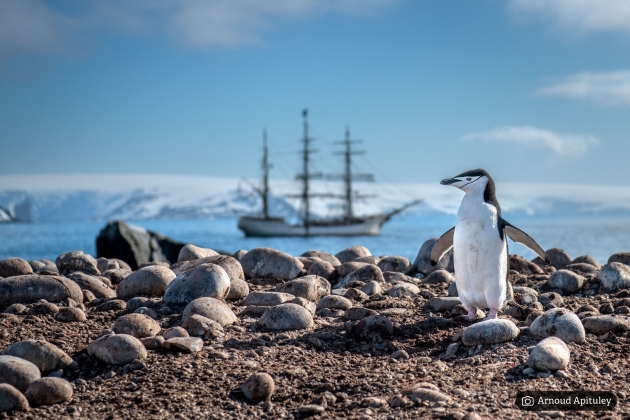 Bark Europa opnieuw in zee met Flink | Arnoud Apituley
