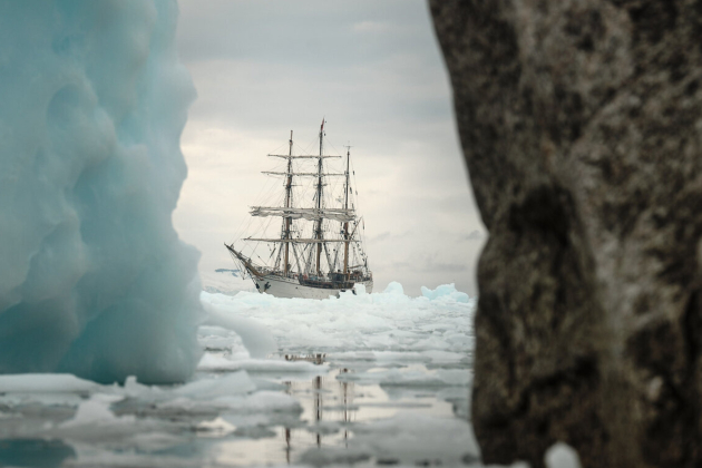 Bark Europa Richard Simko index