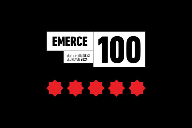 Flink in Emerce 100 2024