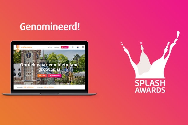 Flink | Nominatie Splash Award