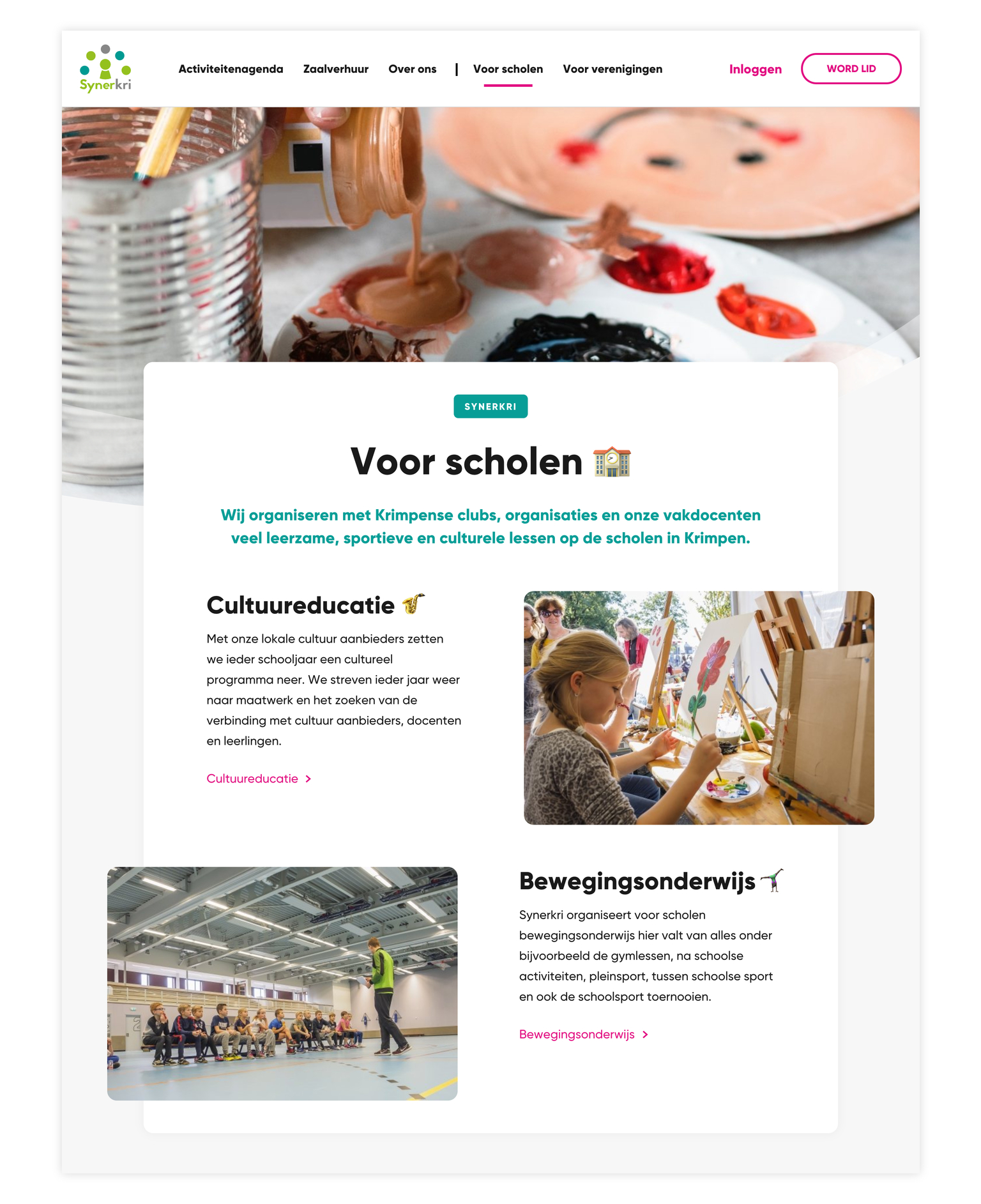 Screenshot website Synerkri