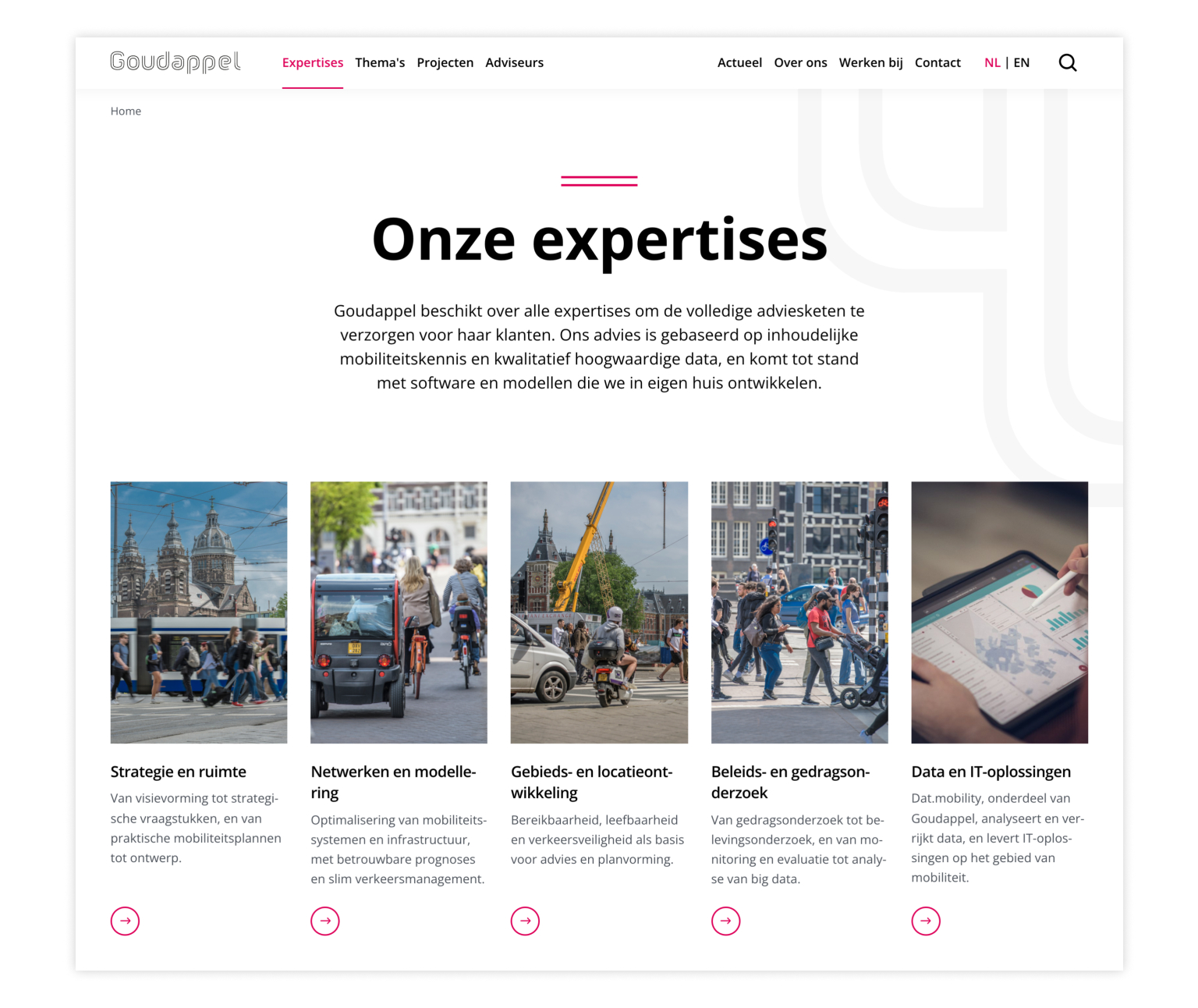 Foto pagina Onze expertises, Goudappel