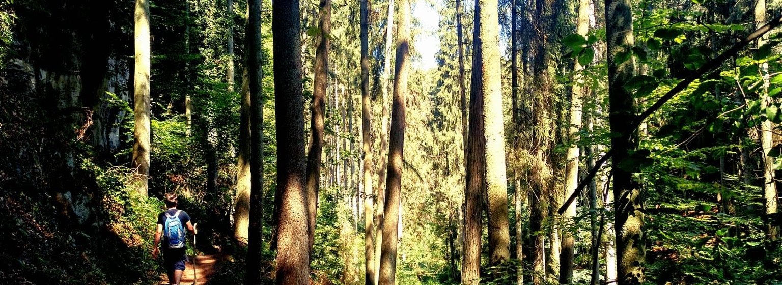 Sebastiaan in het bos op vakantie