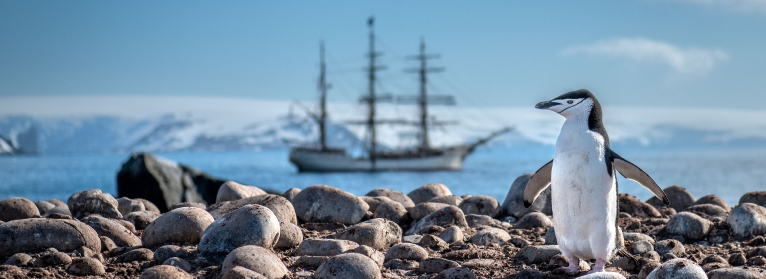 Bark Europa opnieuw in zee met Flink | Arnoud Apituley