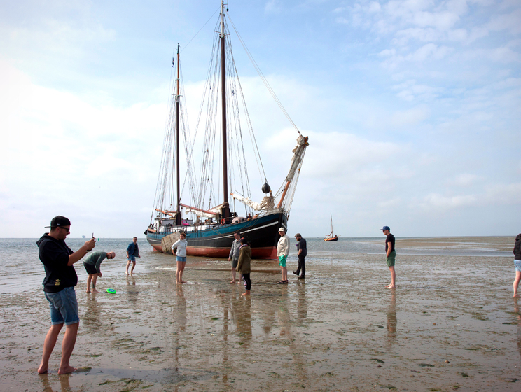Wadlopen op bekpek 2018