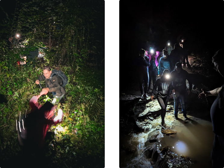 Impressie avondwandeling bedrijfsweekend Flink in Ardennen