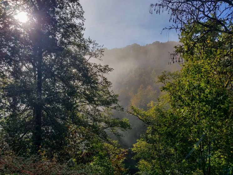 Uitzicht Belgische Ardennen