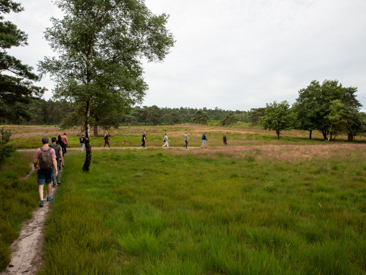 Stiltewandeling over landgoed Welna