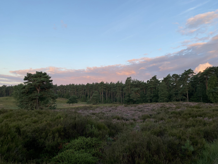 Uitkijkpunt vroege wandeling