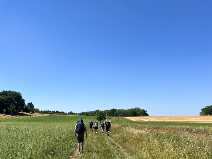 Door de velden met strakblauwe lucht 