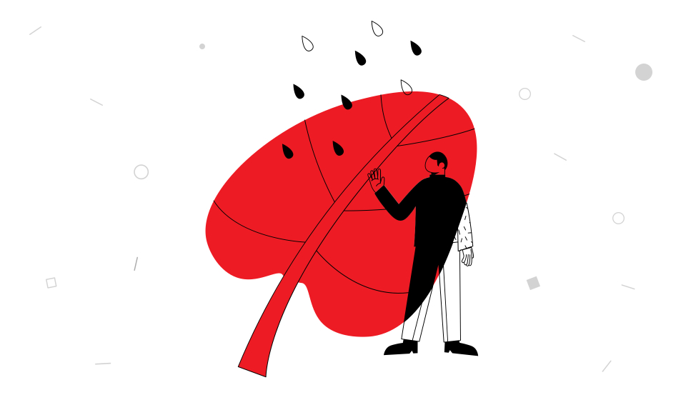 Waarom voor Drupal kiezen