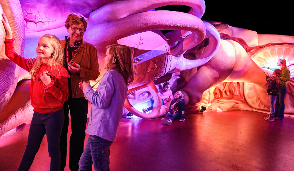 Flink wint pitch Corpus