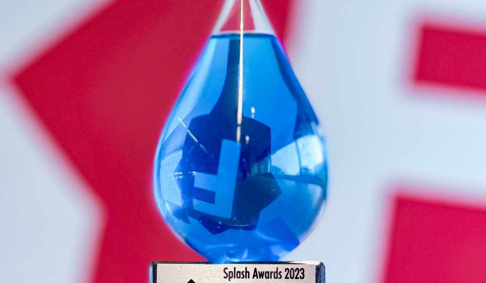Splash Award voor website Staedion