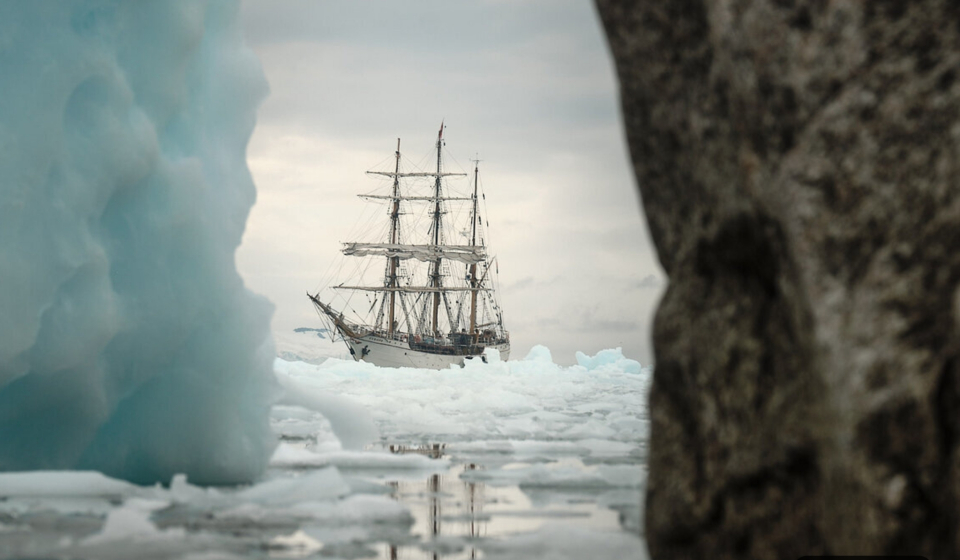 Bark Europa Richard Simko