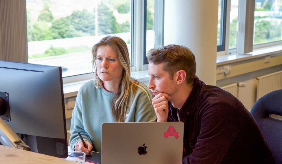 Development Day @Flink